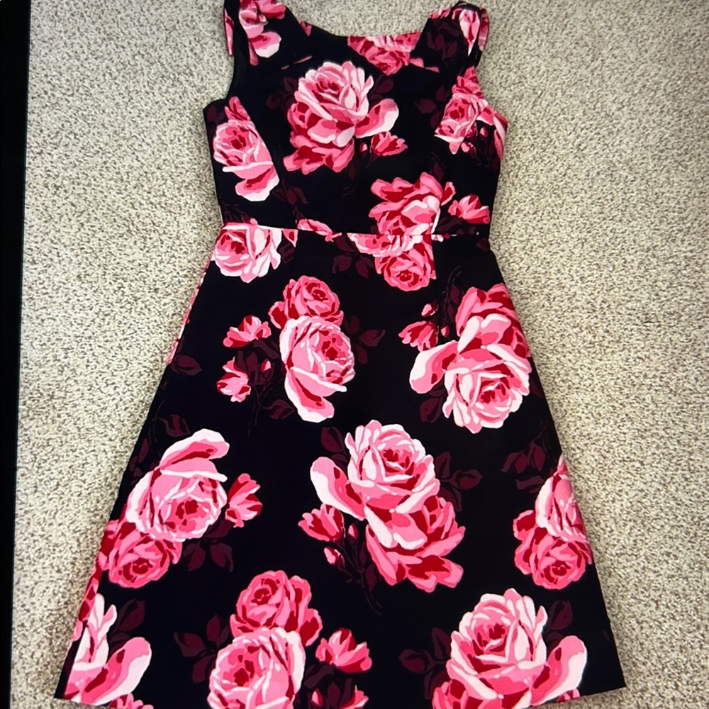 NWT Kate Spade “Rosa” A-Line Dress, 0